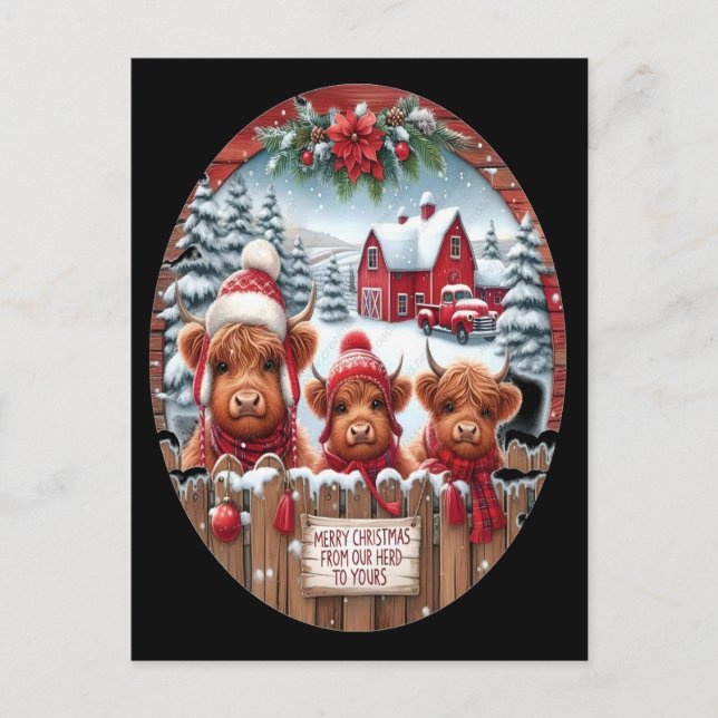 Carte Postale Noël Highland Cow Bubblegum 2025 (Devant)