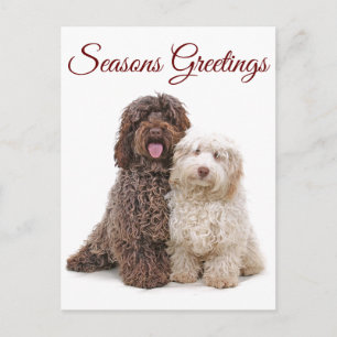 Carte Postale Noël Joyeuses Fêtes Labradoodle Amis
