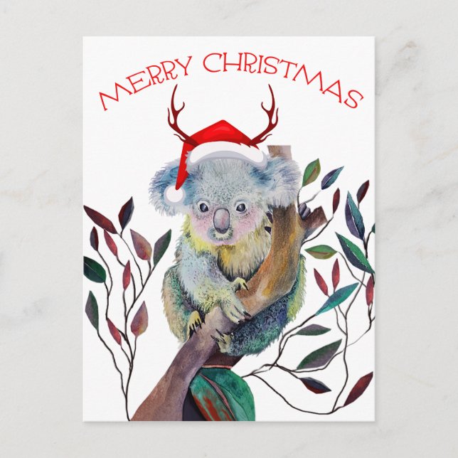 Carte Postale Noël Koala portant le chapeau du Père Noël (Devant)