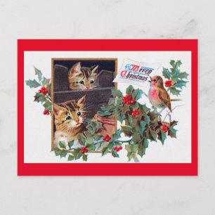Carte Postale Noël, Noël Kitten et Petit Oiseau