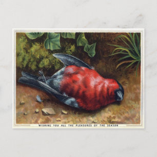 Carte Postale Noël vintage des oiseaux morts du Victoria