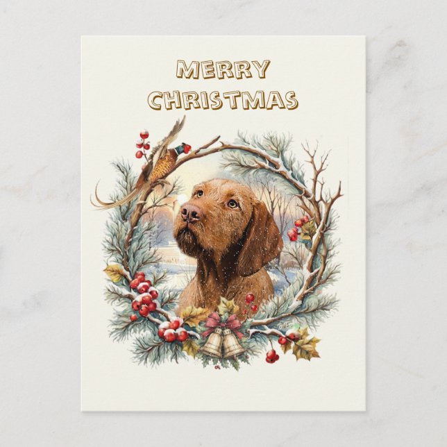 Carte Postale Noël Vizsla  (Devant)