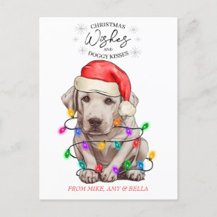 Carte Postale Noël Voeux Chien Chiot Baisers Joli Animal Personn