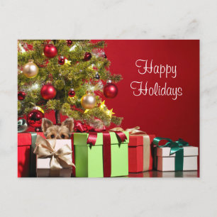 Carte Postale Noël Yorkie