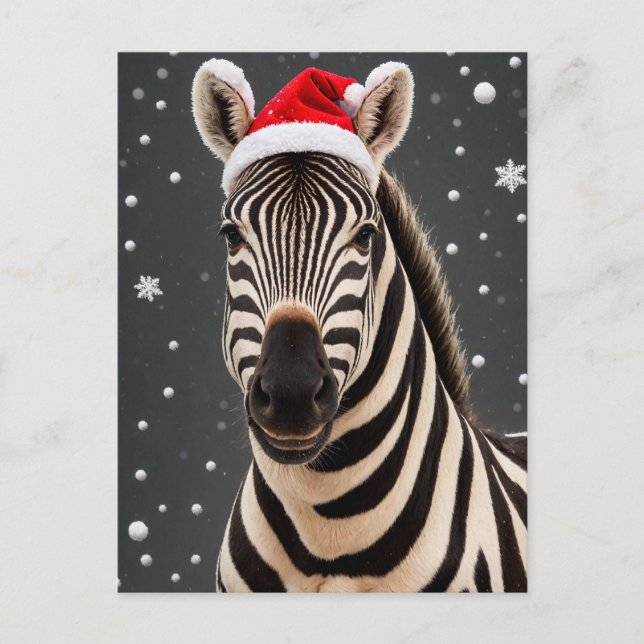 Carte Postale Noël Zebra (Devant)