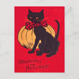 Carte Postale Nœud papillon chat noir citrouille vintage