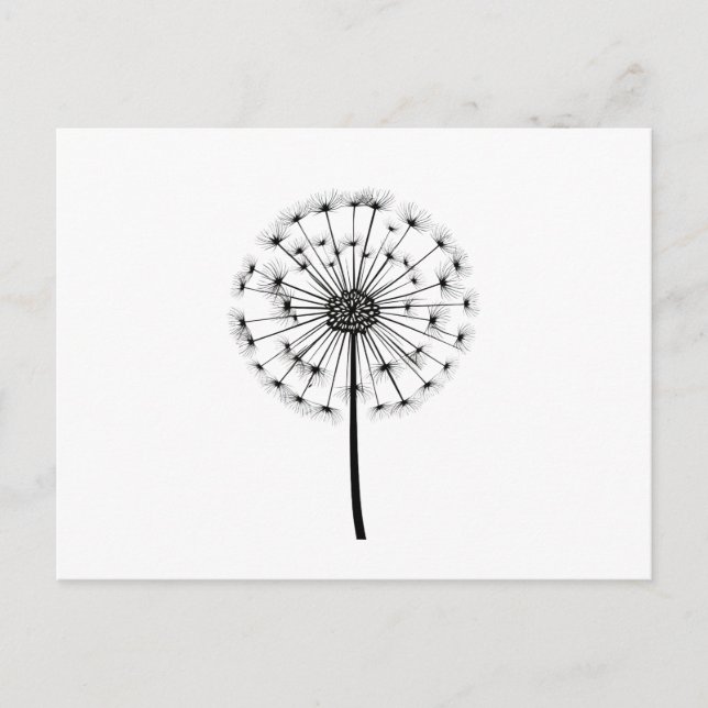 Carte Postale Noir Blanc Dandelion Line Art (Devant)
