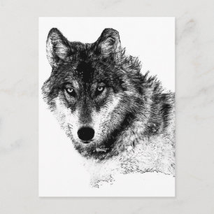 Carte Postale Noir Blanc Inspiration Wolf Eyes