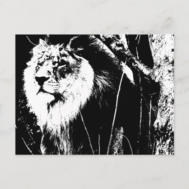 Carte Postale Noir Blanc moderne Pop Art Modèle Animal Lion (Devant)
