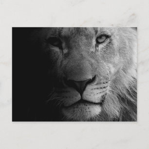 Carte Postale Noir Blanc Motivation Leadership Lion Portrait