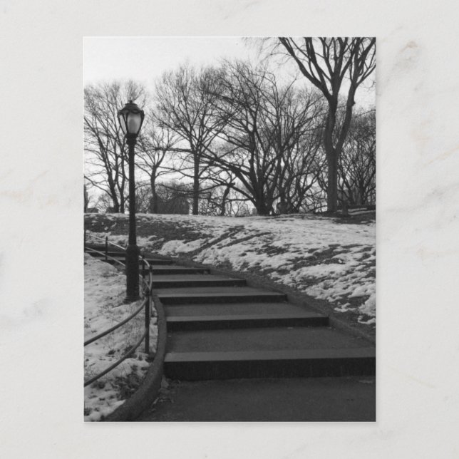 Carte Postale Noir Blanc NY Central Park (Devant)