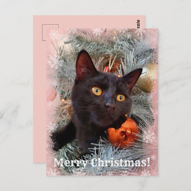 Carte Postale Noir Chat Joyeux Noël (Devant / Derrière)
