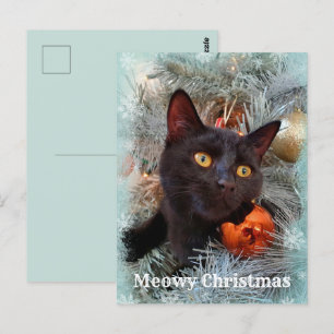 Carte Postale Noir Chat Joyeux Noël