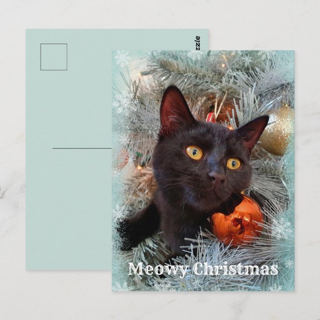 Carte Postale Noir Chat Joyeux Noël (Devant / Derrière)