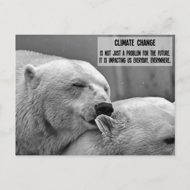 Carte Postale Noir et blanc Changement climatique avec ours pola (Devant)