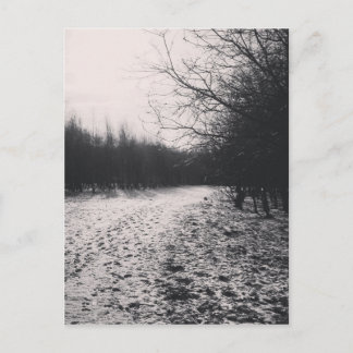Carte Postale Noir et blanc congelé
