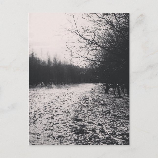 Carte Postale Noir et blanc congelé (Devant)