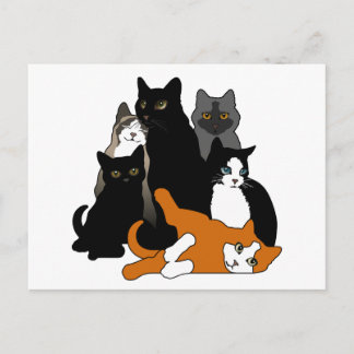 Carte Postale Noir 'n' Blanc 'n' Gris 'n' Orange Cats