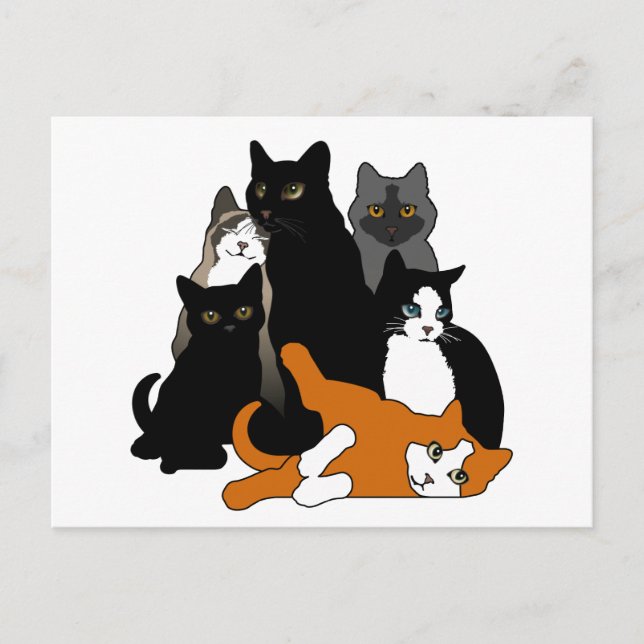 Carte Postale Noir 'n' Blanc 'n' Gris 'n' Orange Cats (Devant)