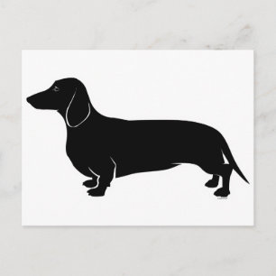 Carte Postale Noir sur blanc Dachsund