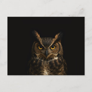 Carte postale noire 4 Luxe avec hibou à l'œil doré
