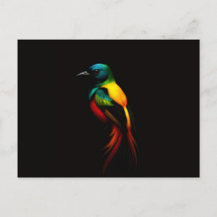 Carte postale noire 4 Luxe avec oiseau tropical ar