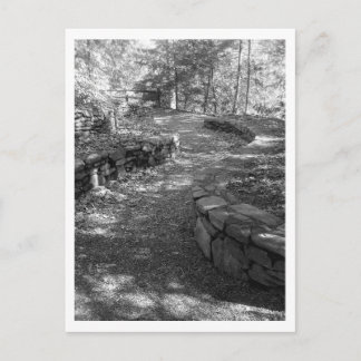 Carte postale noire et blanche