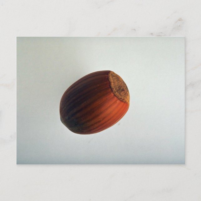 Carte Postale Noisette délicieuse (Devant)