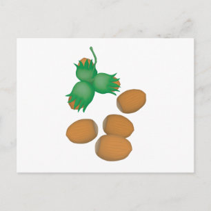 Carte Postale noisettes