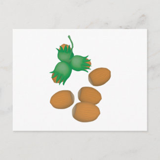 Carte Postale noisettes