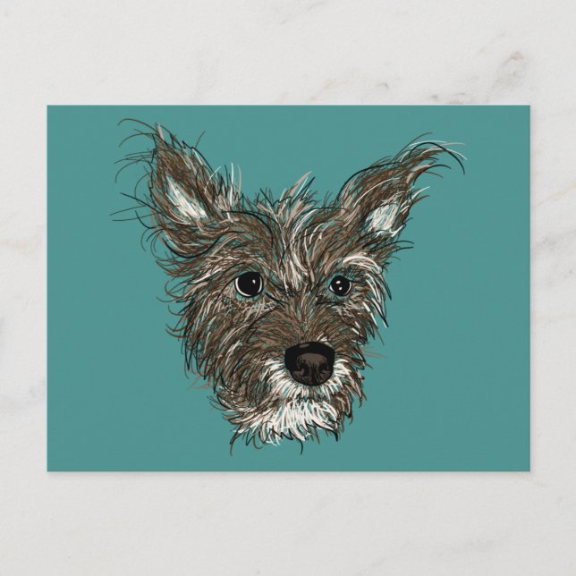 Carte Postale noisettes (Devant)