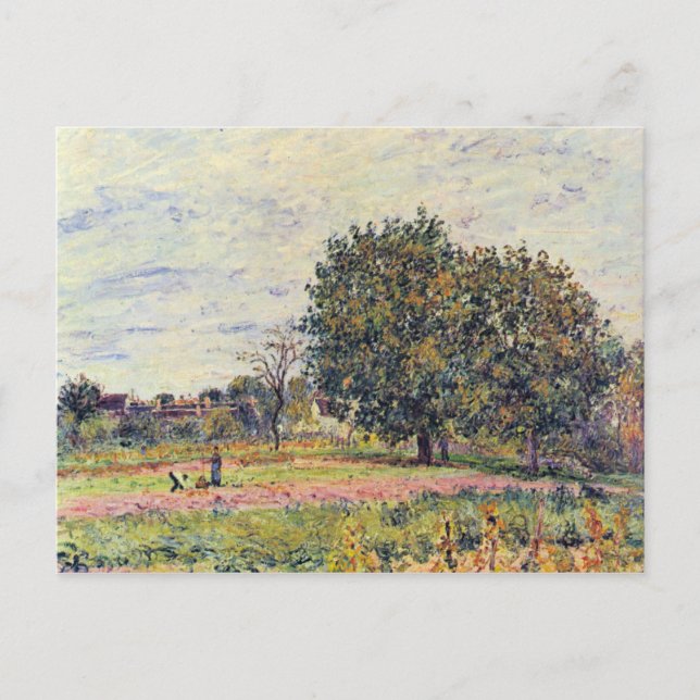 Carte Postale Noix au soleil, début octobre - Sisley (Devant)