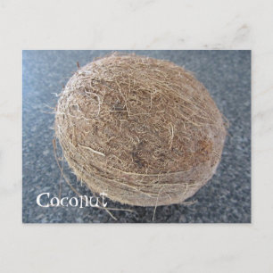 Carte Postale Noix de coco