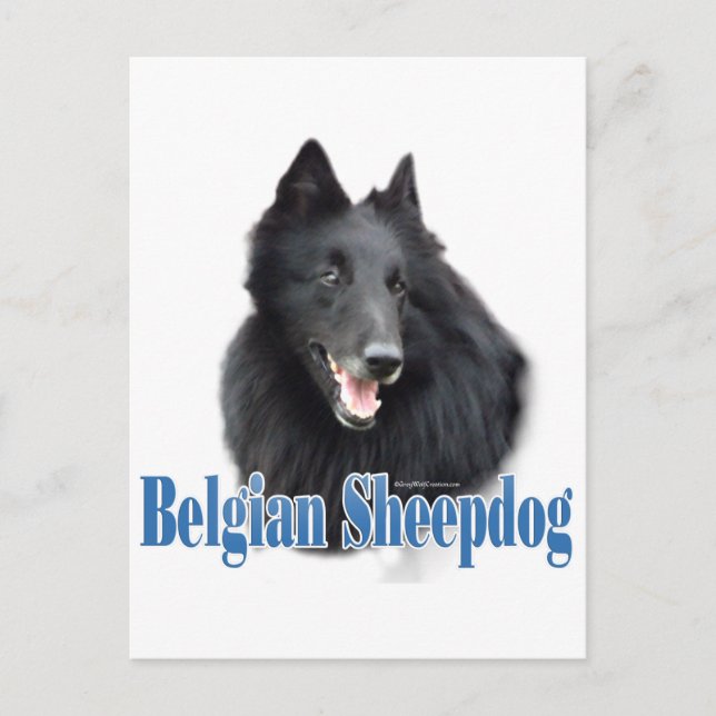Carte Postale Nom du chien de berge belge (Devant)