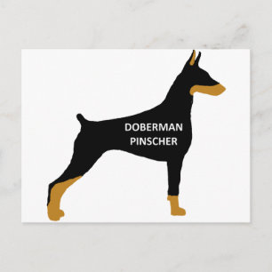 Carte Postale Nom du Doberman Pinscher couleur silo noir