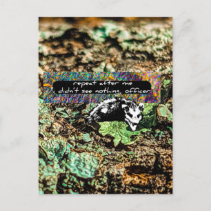 Carte Postale Non conforme