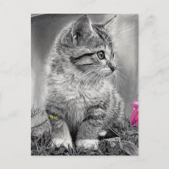 Carte Postale non défini (Devant)