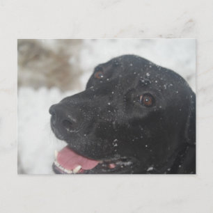 Carte Postale non défini