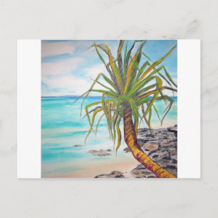 Carte Postale Noosa Pandanas