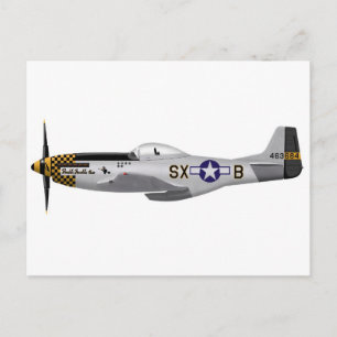 Carte Postale Nord-Américain P-51D Mustang "Double Trouble Two"