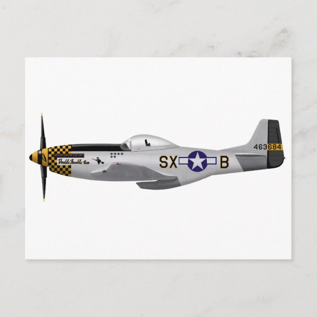 Carte Postale Nord-Américain P-51D Mustang "Double Trouble Two" (Devant)