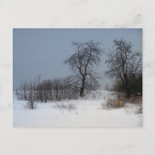 Carte Postale Nord du Maine 17