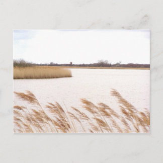 Carte Postale Norfolk Broads
