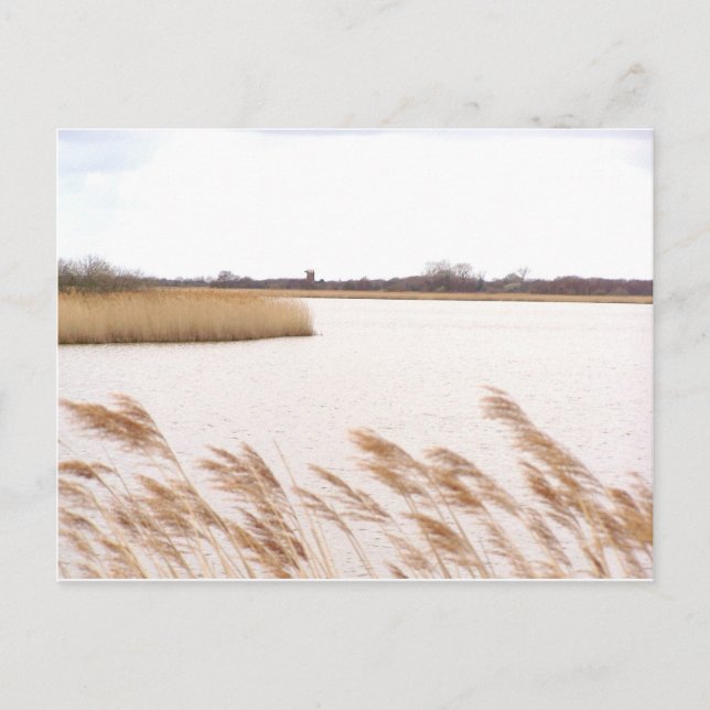 Carte Postale Norfolk Broads (Devant)