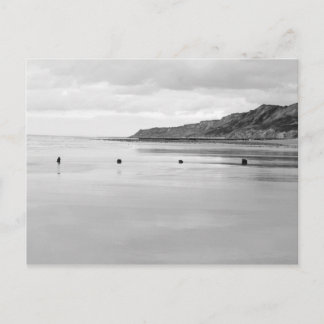 Carte Postale Norfolk Shore