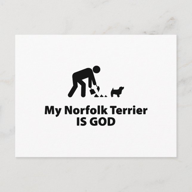 Carte Postale Norfolk Terrier (Devant)