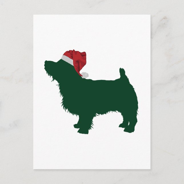Carte Postale Norfolk Terrier (Devant)