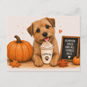 Carte Postale Norfolk Terrier Cozy Pumpkin Spice Puppaccino