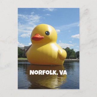Carte Postale Norfolk, Virginie (Canard)