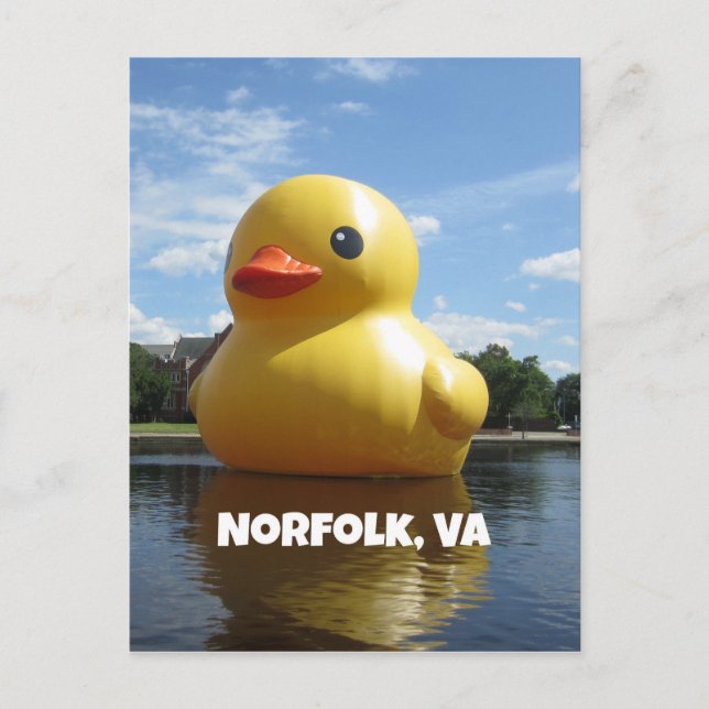 Carte Postale Norfolk, Virginie (Canard) (Devant)